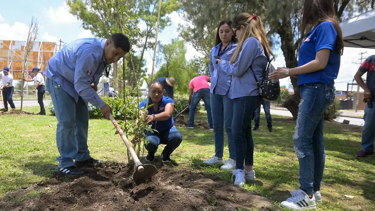 MPIO REFORESTA5